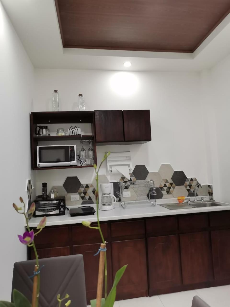 935 Lodge San Jose المظهر الخارجي الصورة