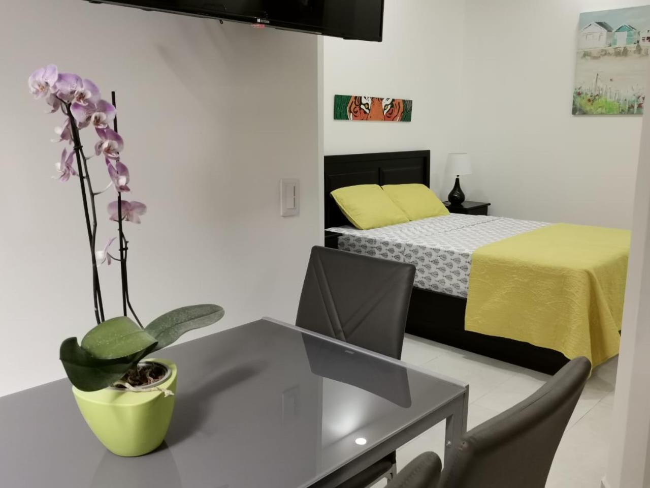 935 Lodge San Jose المظهر الخارجي الصورة
